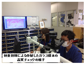 検査技師による作製したガラス標本の品質チェックの様子