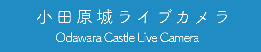 ライブカメラ