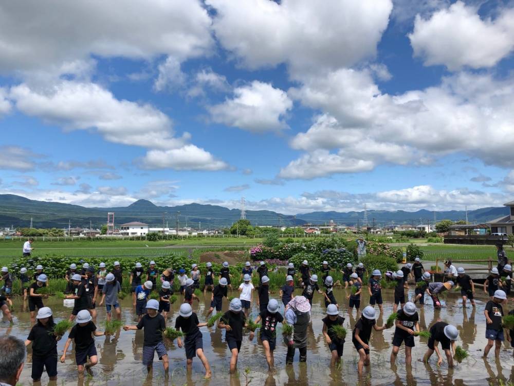 田植えの風景