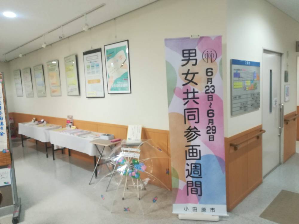 展示の様子