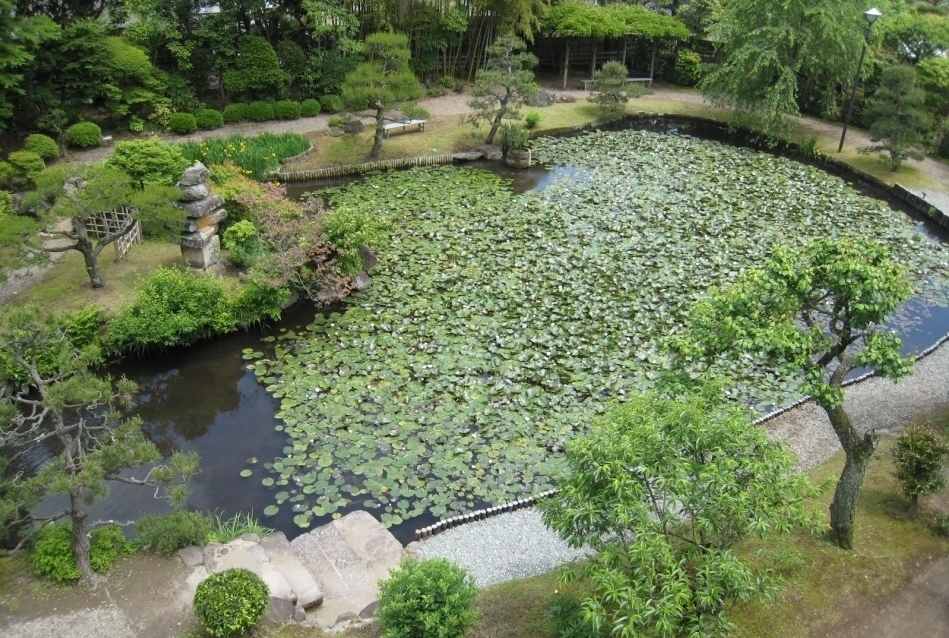 庭園