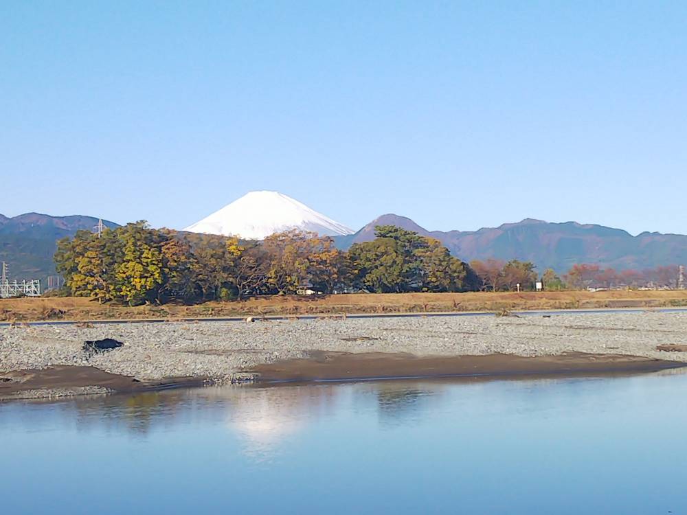 （酒匂川）漁協前の朝の風景