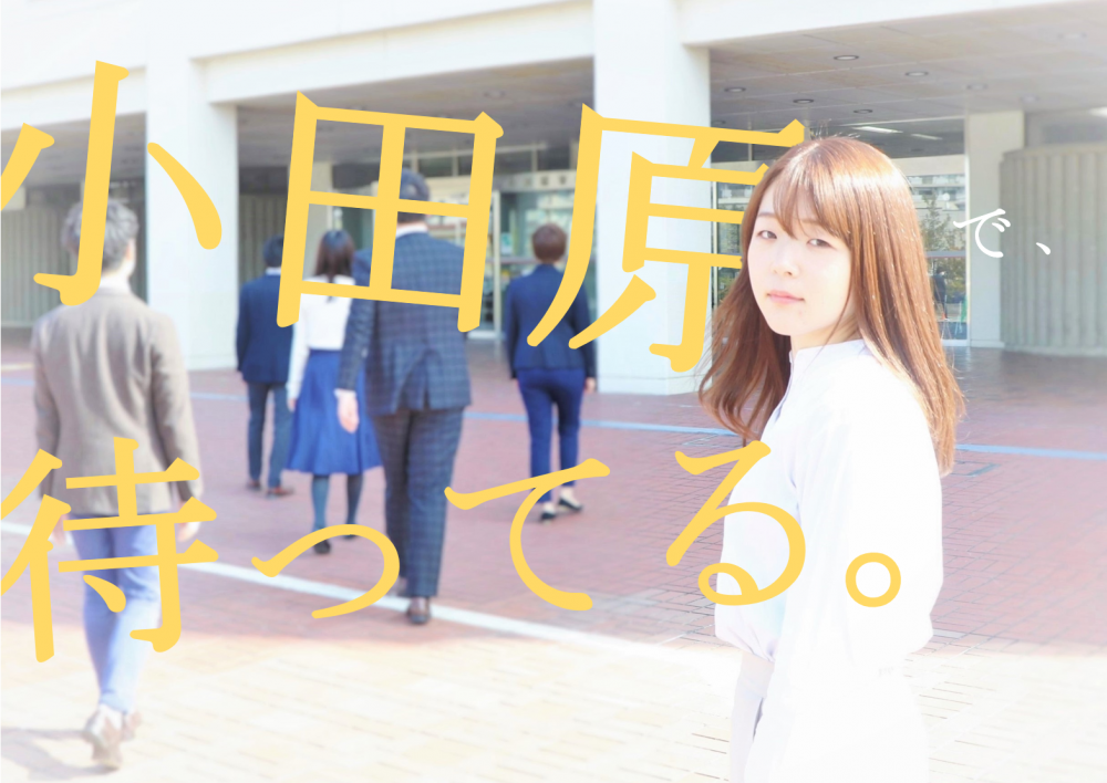 新採用職員