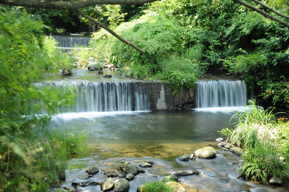 白糸川の清流