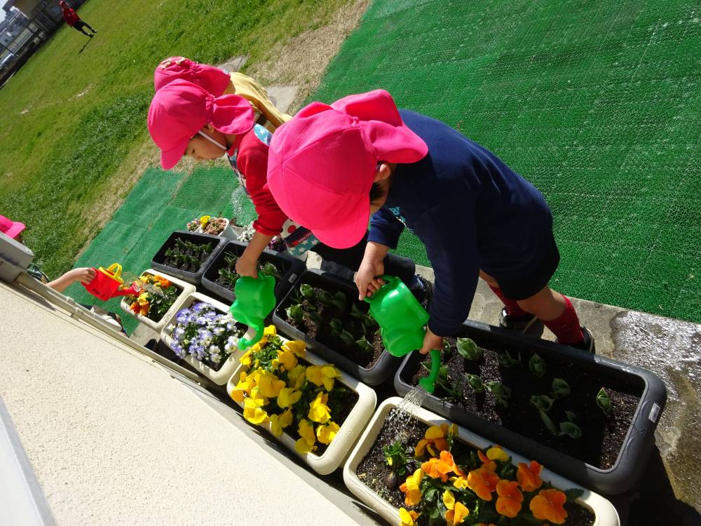 花育事業での園児による花の手入れ風景