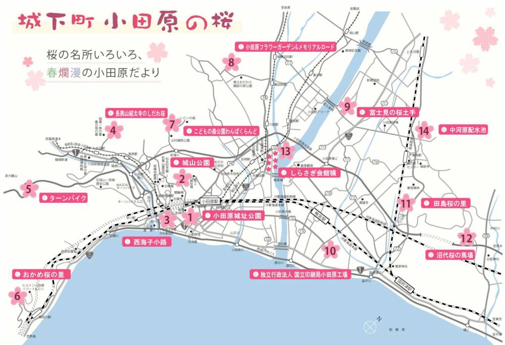 小田原市内全域の観桜スポットの分布図