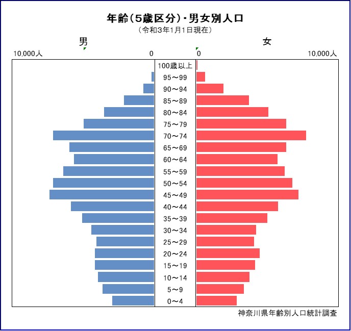 人口ピラミッド