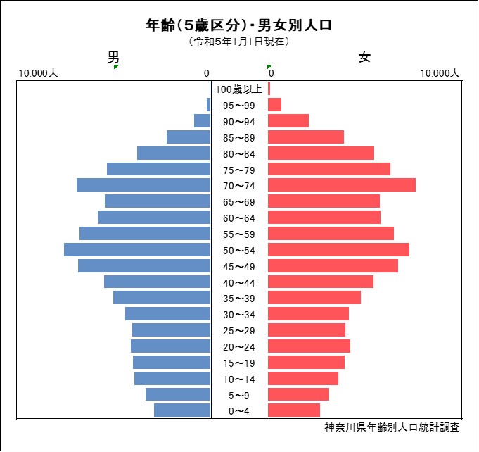 人口ピラミッド