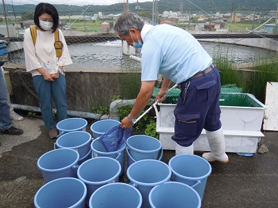 鮎の放流体験