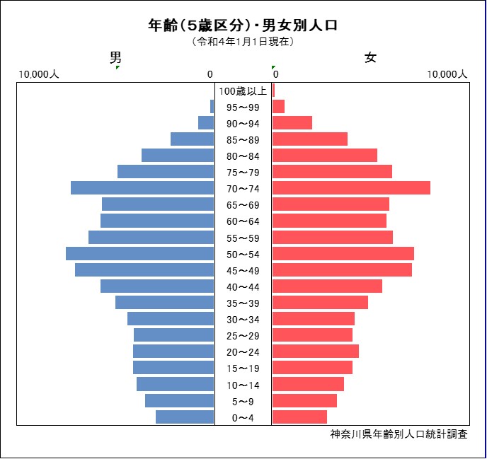 人口ピラミッド