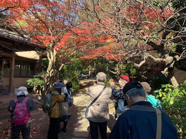 秋葉山量覚院