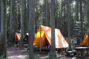 キャンプ場