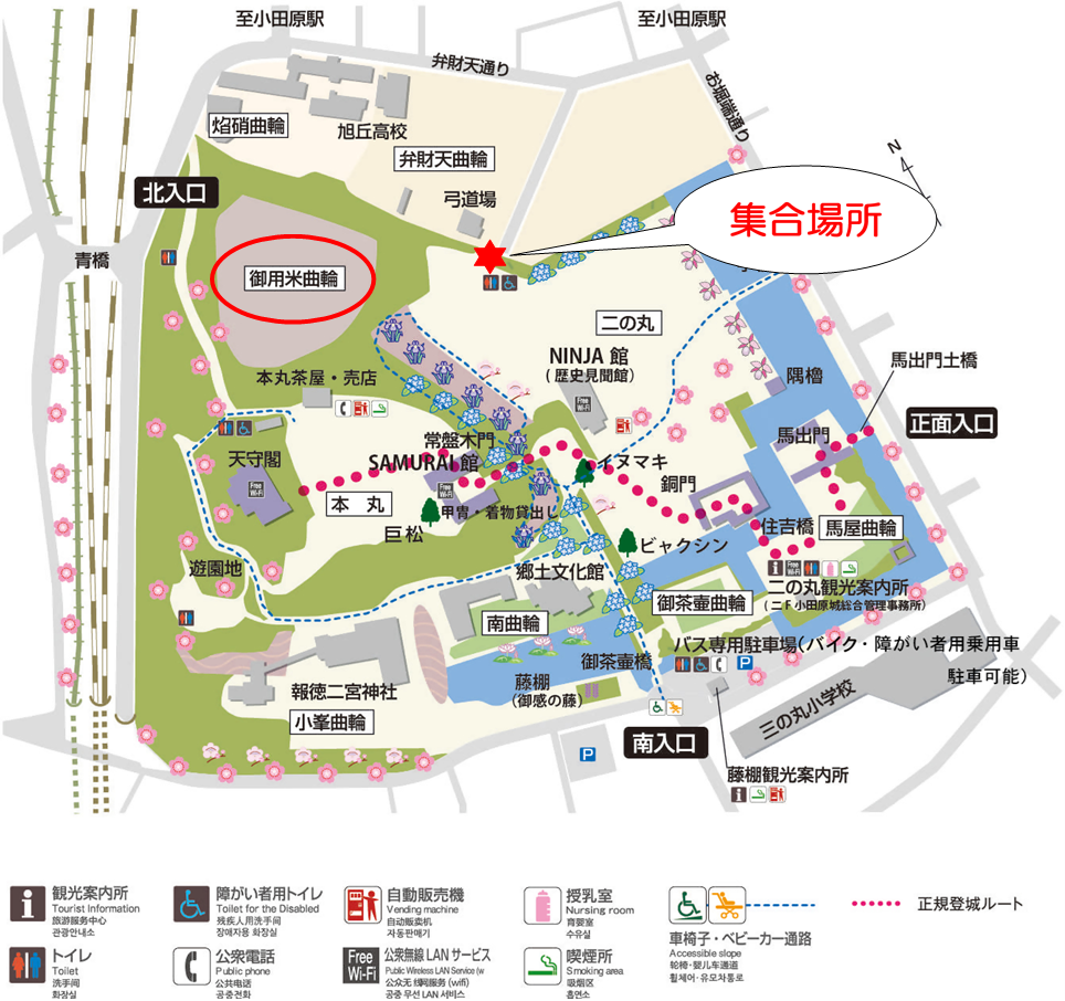 集合場所：小田原城址公園・城内弓道場横