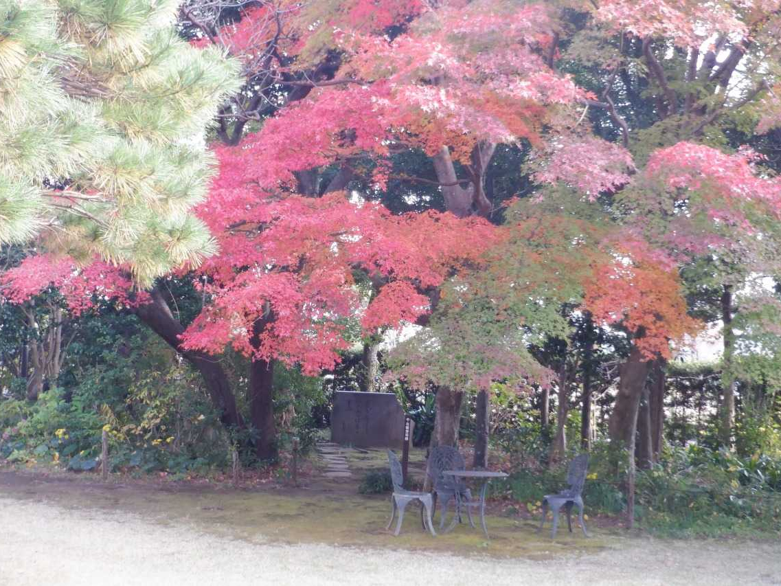 文学館本館庭園の紅葉