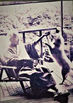 貴重資料特別公開「作家から評論家への献呈本」