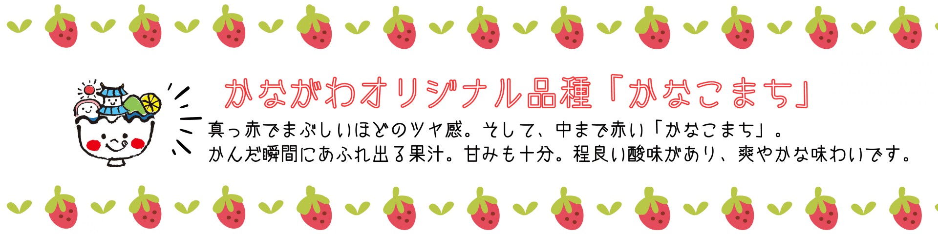 かなこまちについての説明です。かなこまちは、真っ赤でまぶしいほどのツヤ感。そして、中まで赤いです。かんだ瞬間にあふれ出る果汁。甘みも十分。程よい酸味があり、爽やかな味わいです。