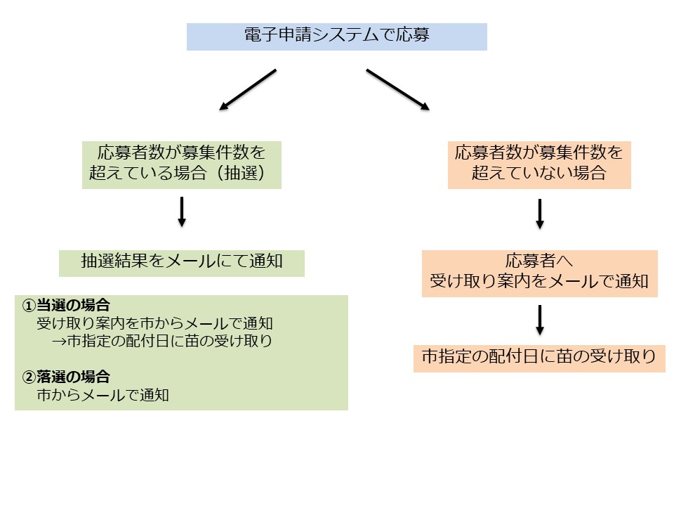 応募が募集件数以下の場合、応募者全員に苗の受け取りについての案内をメールで通知します。応募者が募集件数を超えた場合は、抽選を行い、全員に抽選結果を、当選者には併せて苗の受け取りについての案内をメールで通知します。