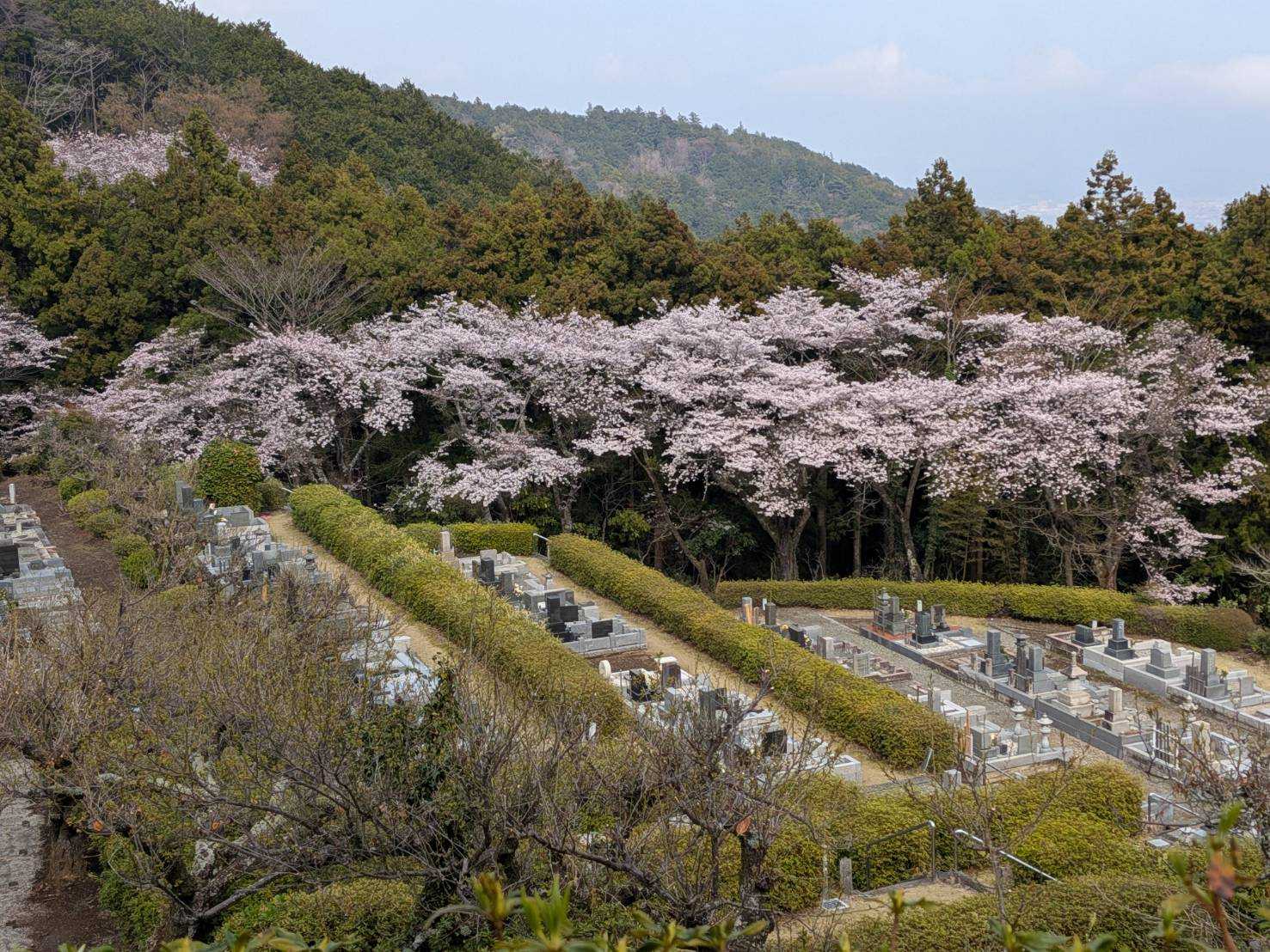 久野霊園内の風景