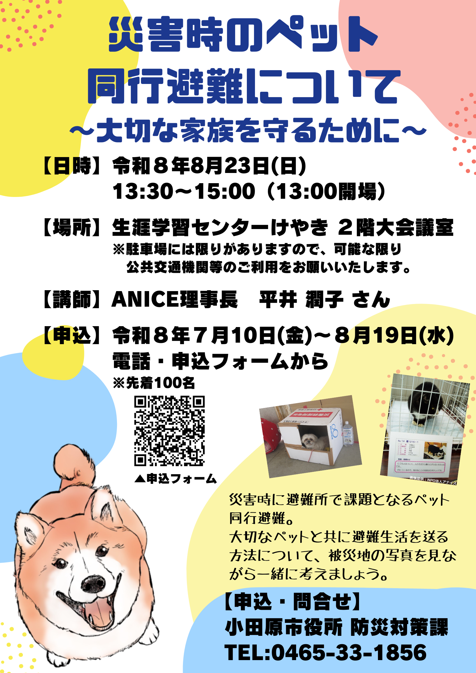 チラシ