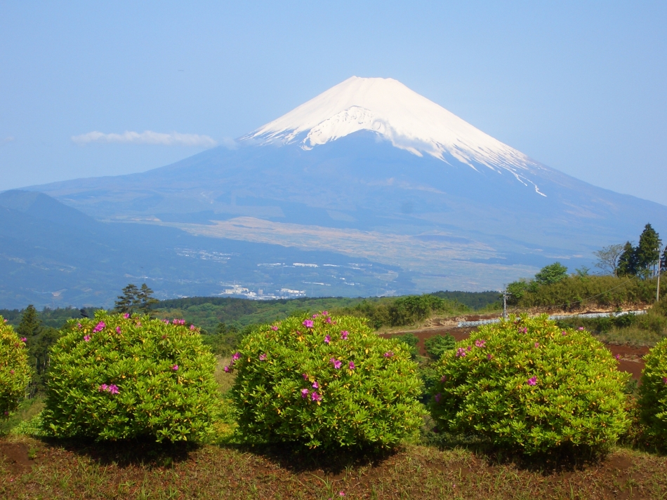 富士山と駿河湾の眺望