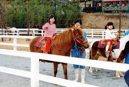 ポニーにのって乗馬体験
