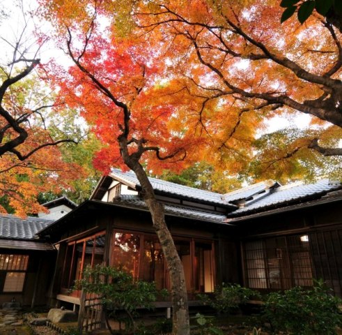 紅葉の中の老欅荘