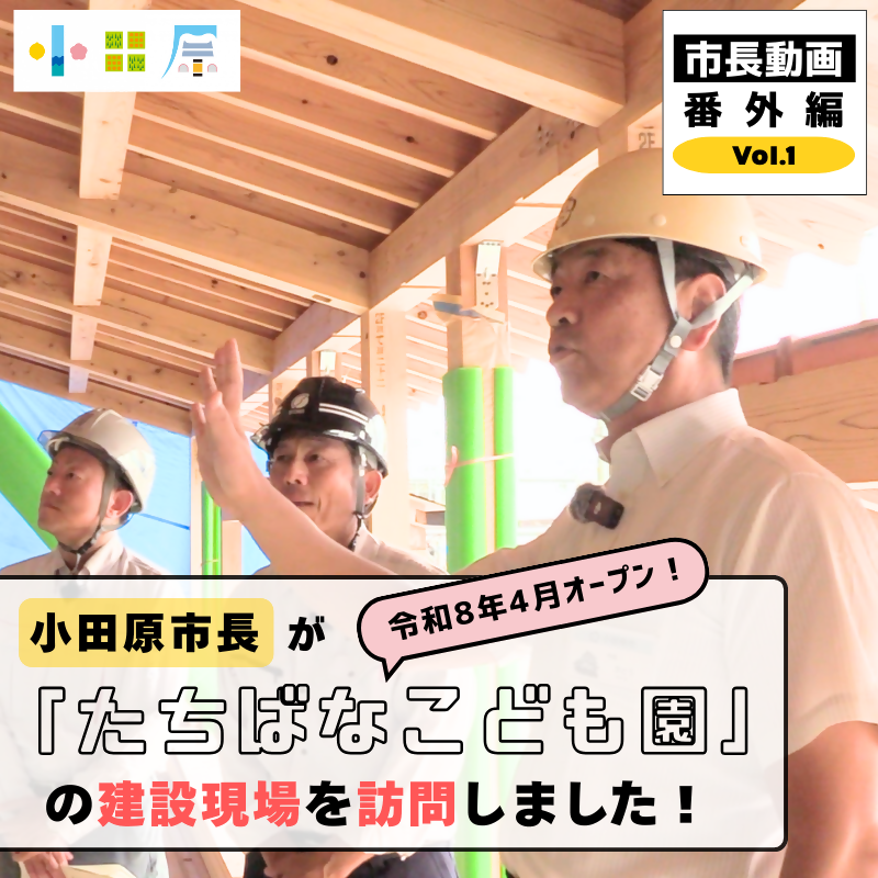 （新しいウインドウで開きます）