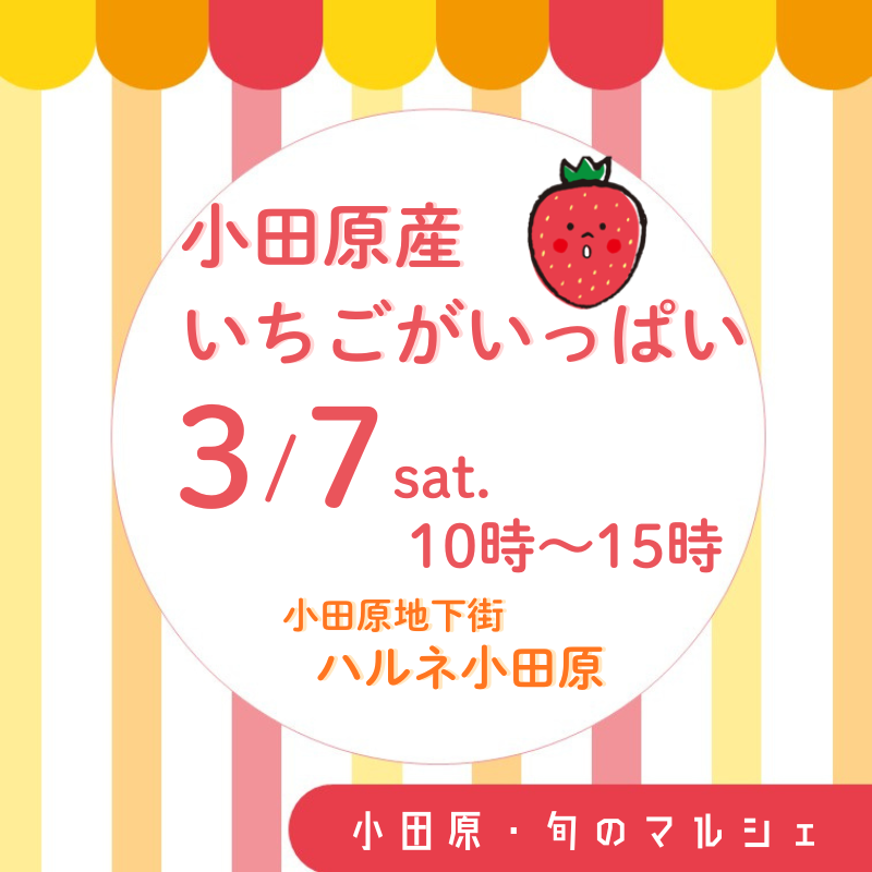 「小田原・旬のマルシェ」を開催します!