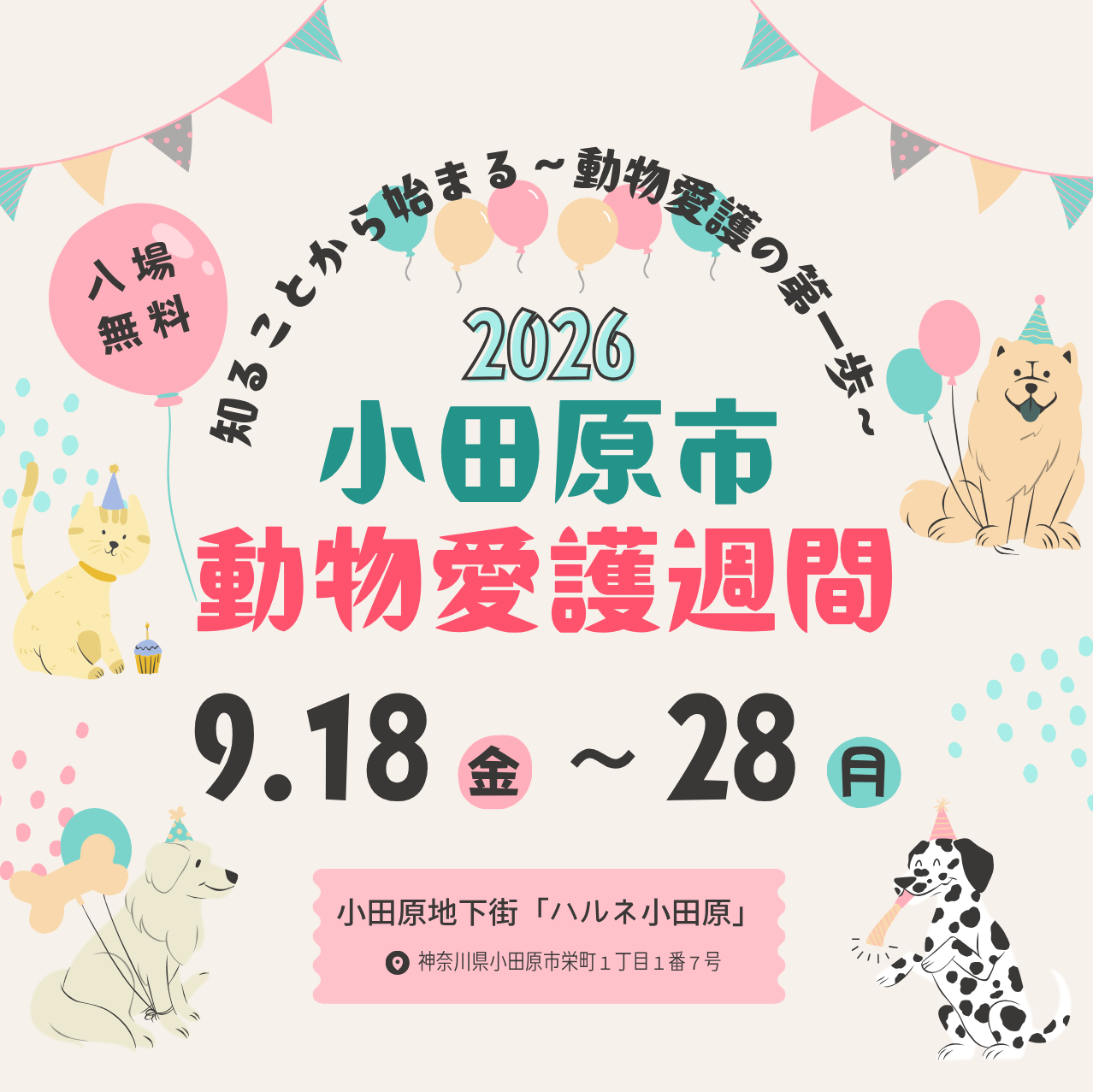 動物愛護週間