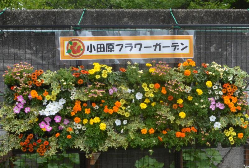 （写真１）フラワーガーデンの看板