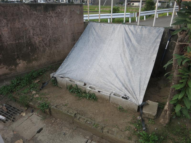 堆肥場