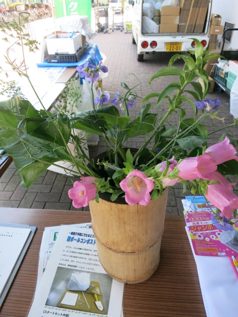生（いき）ごみ堆肥できれいに咲いたお花