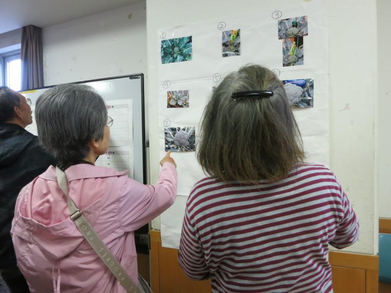 写真を見て選ぶ「写真部門」