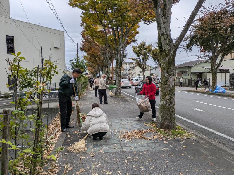 市役所隣のケヤキ通りにて市職員による落ち葉清掃