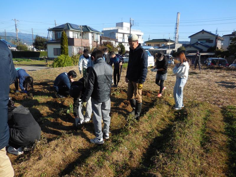 富水小学校の児童たちと、秋ジャガの収穫作業