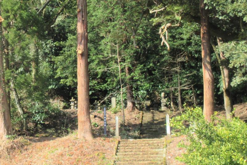 遺跡の広場から、樹木の中にある稲葉一族墓所を望む