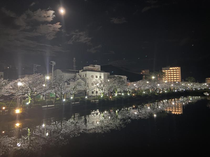 満月の夜、お堀の水面に映える桜並木