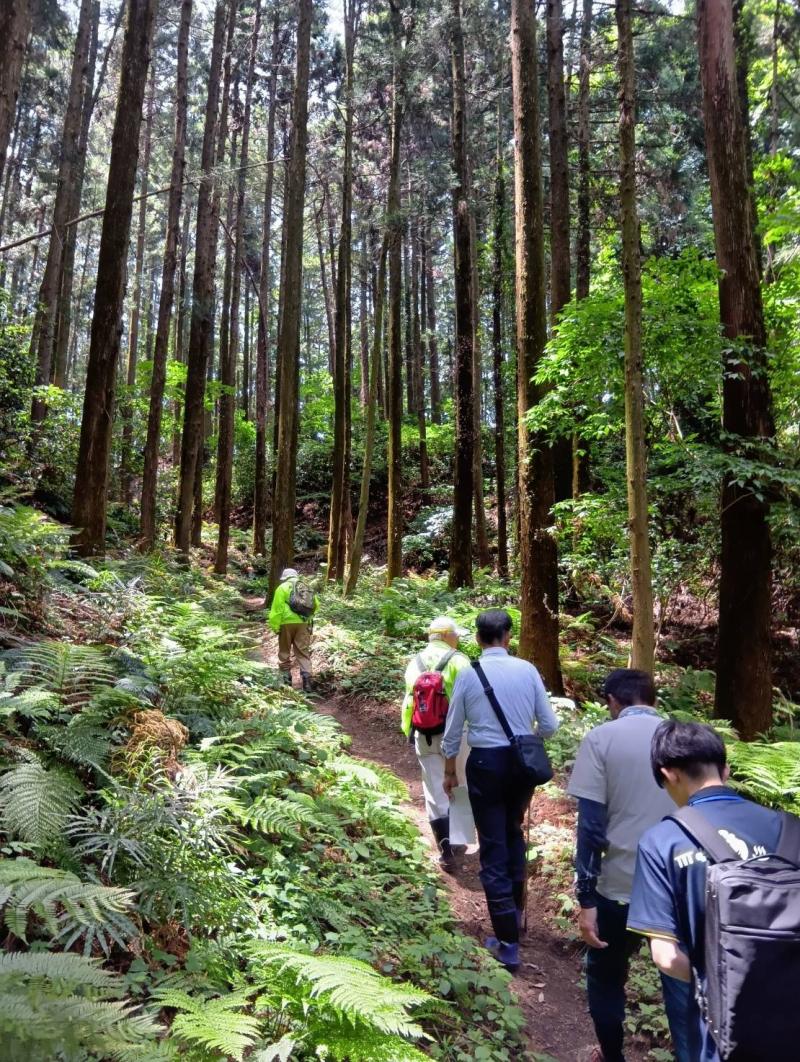 木立の中に遺る松井田城址に登る