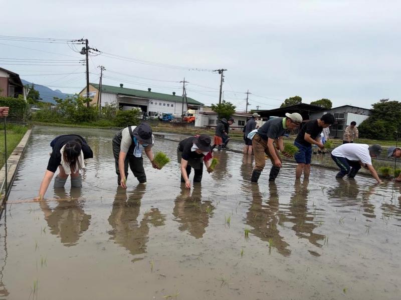 休耕だった田圃への田植え