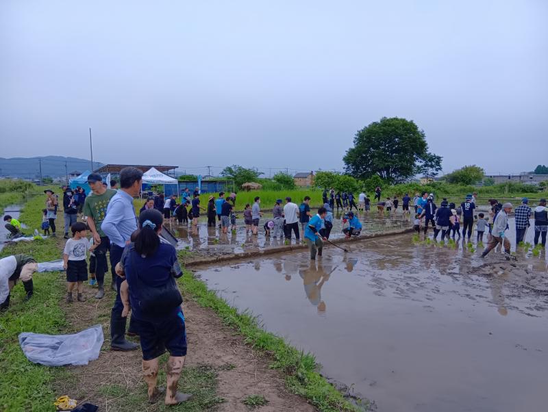 桑原の田んぼにて、ウエインズトヨタ神奈川主催の田植え