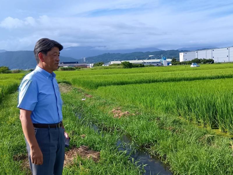 夏の美しい田園風景が広がる桑原の田んぼにて