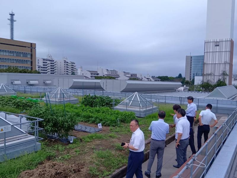 屋上は生ごみたい肥を用いた菜園として活用