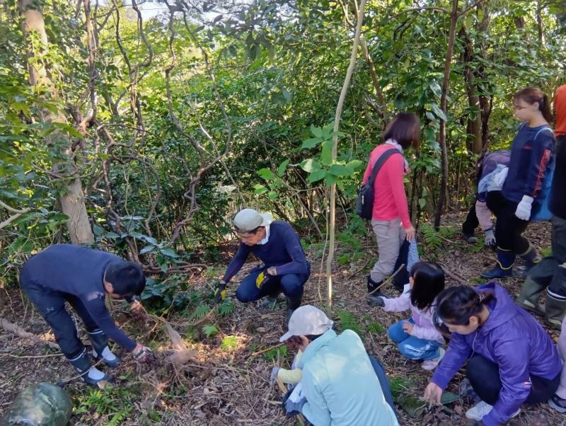 国府津山での環境再生プロジェクトに参加