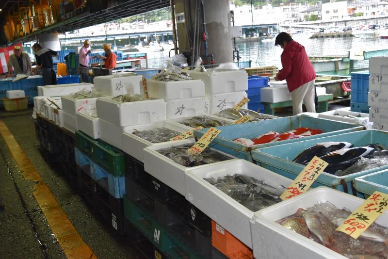 「小田原あじ・地魚まつり」の鮮魚売り場にて