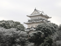 小田原城雪景色