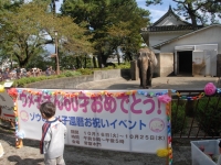 ウメ子の還暦祝い