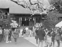 二宮神社の初詣風景