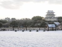 小田原城雪景色