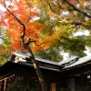 松永記念館の紅葉(3枚目)写真を拡大表示する