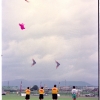 1992 International Sports Kite Festival in Odawara(2枚目)写真を拡大表示する
